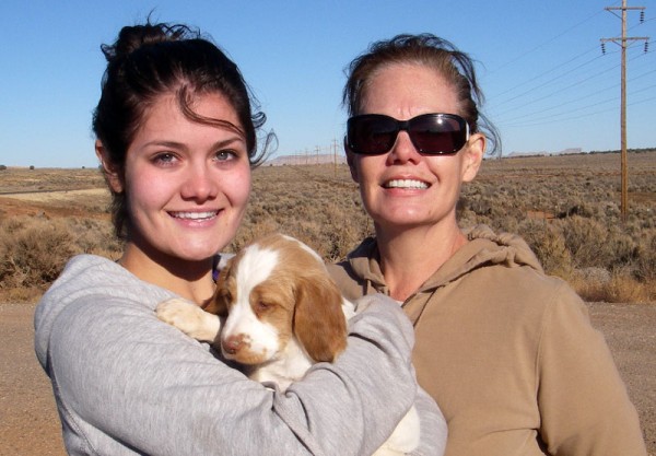 Brittany Puppy Bailey Goes Home to Arizona