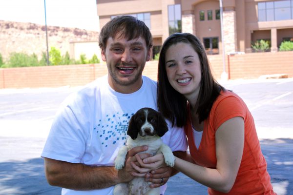 Liver and White female brittany puppy goes home with Utah couple