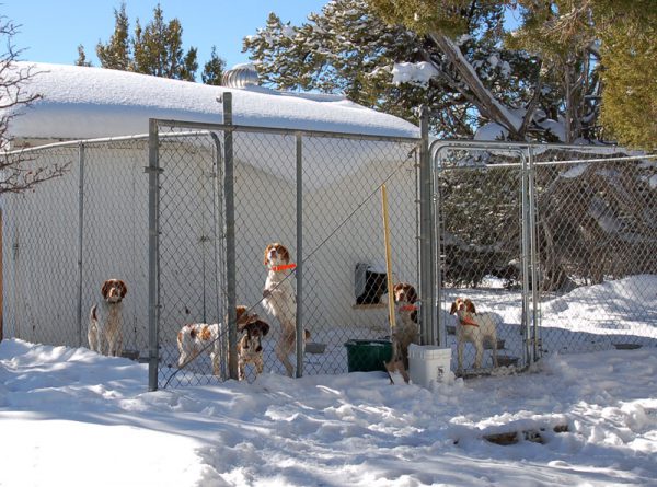 winter kennels